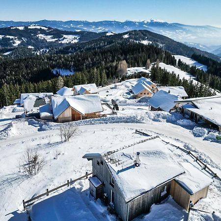 1A Chalet Eck - Wandern, Grillen, Panorama Sauna! Klippitztorl Экстерьер фото