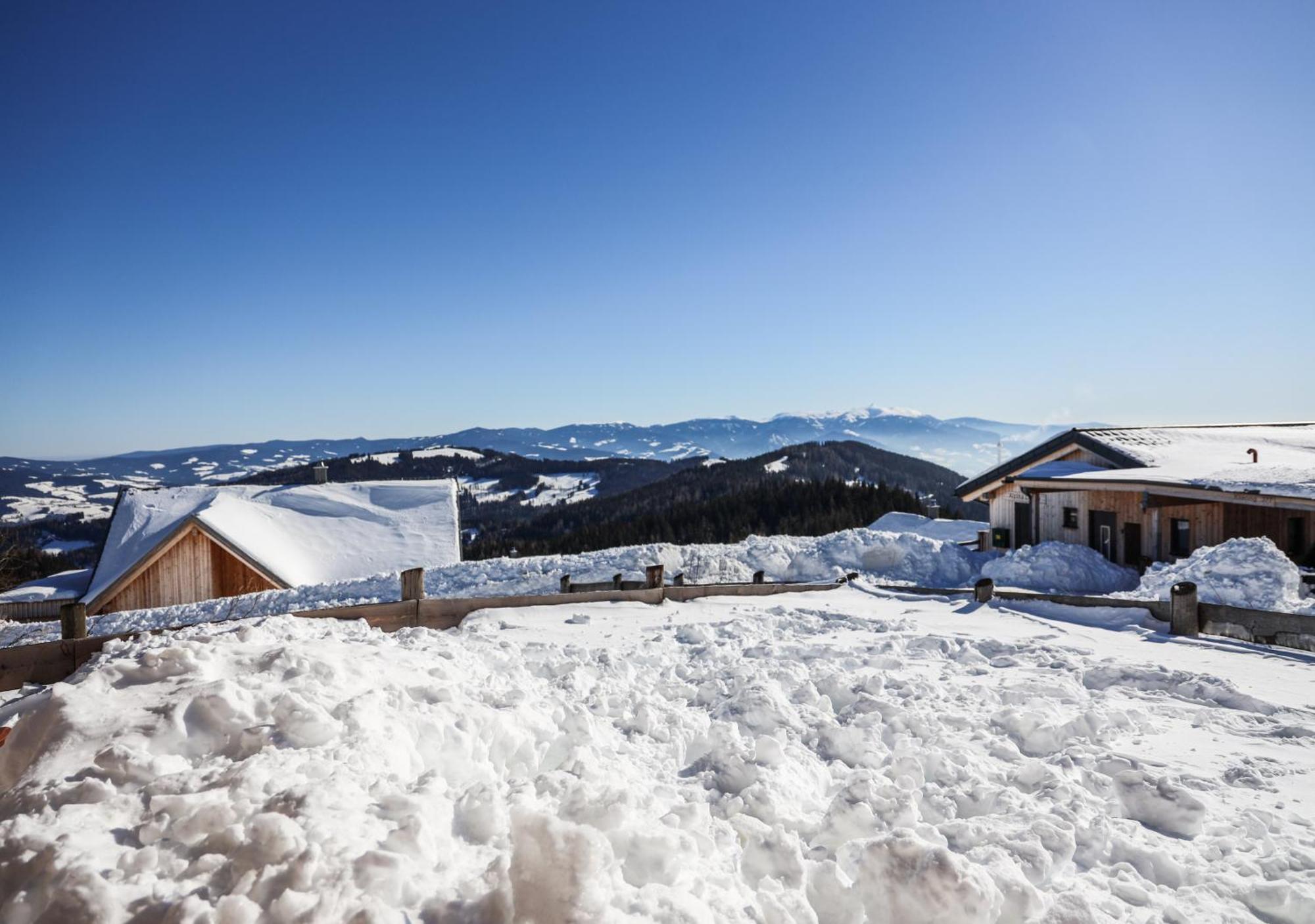 1A Chalet Eck - Wandern, Grillen, Panorama Sauna! Klippitztorl Экстерьер фото